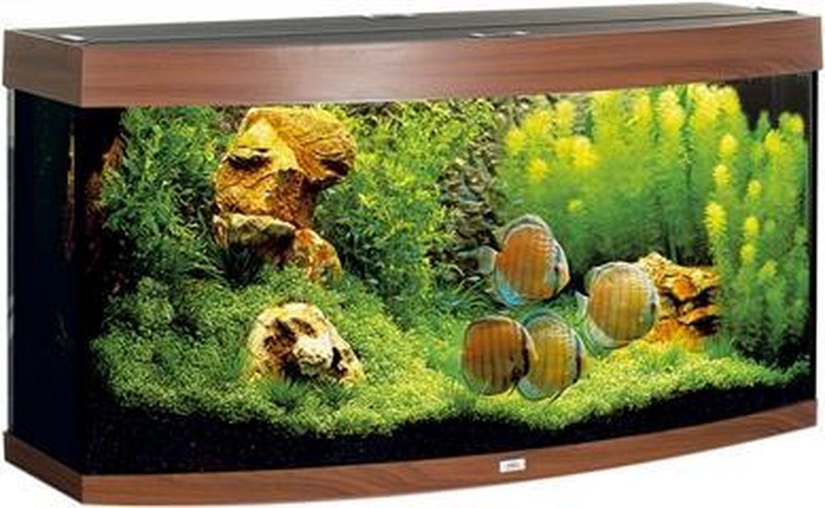 Juwel Vision Aquarium - 121x62x46 cm - 260L - Donkerbruin
