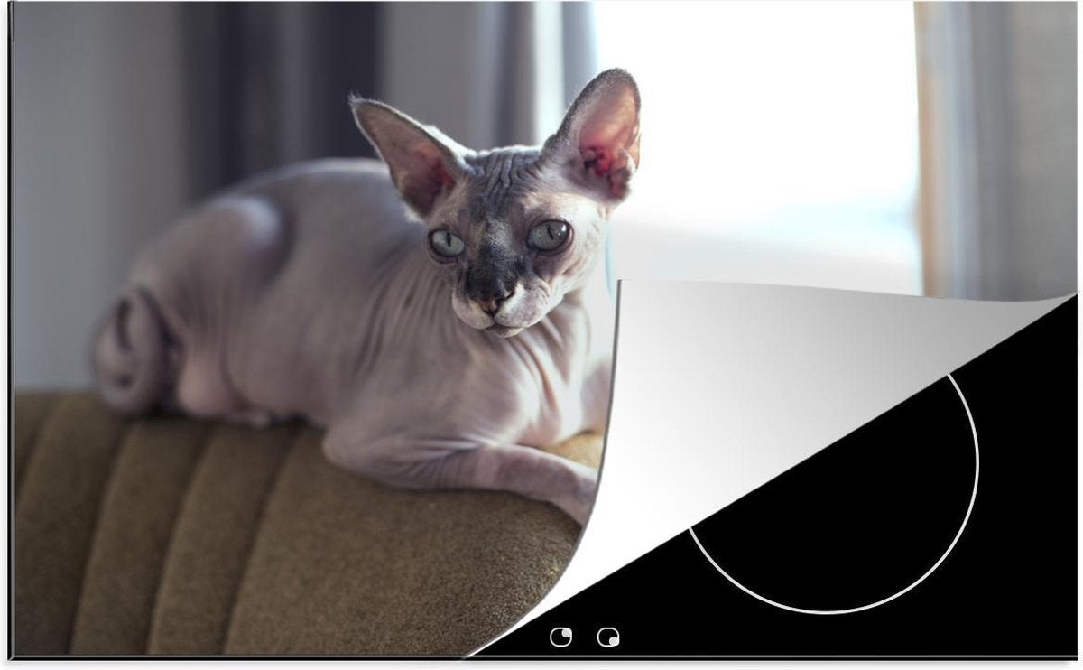 Luxe inductie beschermer Sphynx - 78x52 cm - Sphynx kat ligt op stoel  - inductiebeschermer