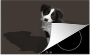 Luxe inductie beschermer Border collie puppy - 80x52 cm - Border collie puppy met vragende blik  - inductiebeschermer
