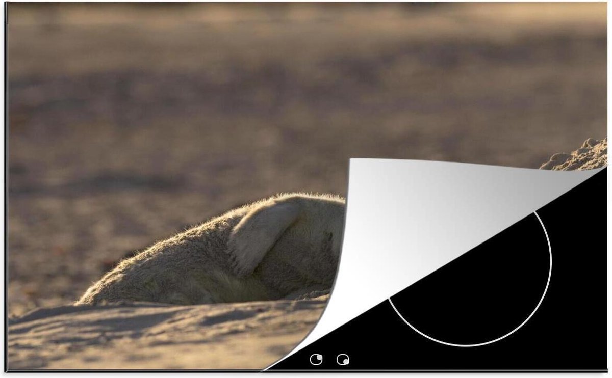 Luxe inductie beschermer Slapende Baby Dieren - 80x52 cm - Jonge slapende zeehond  - inductiebeschermer
