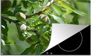 Luxe inductie beschermer Amandelboom - 75x52 cm - Amandelnoten  - inductiebeschermer