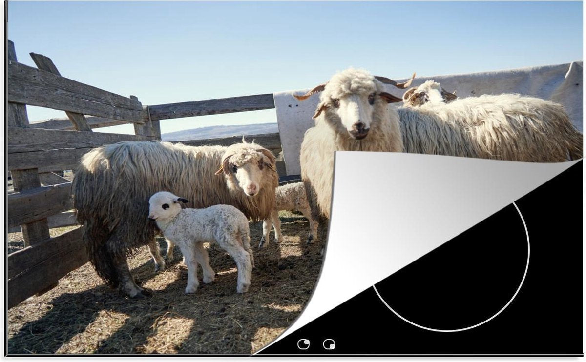 Luxe inductie beschermer Dieren in Roemenië - 80x52 cm - Schapen familie in Roemenië  - inductiebeschermer