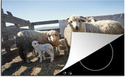 Luxe inductie beschermer Dieren in Roemenië - 80x52 cm - Schapen familie in Roemenië  - inductiebeschermer