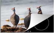 Luxe inductie beschermer Helmparelhoen - 80x52 cm - Parelhoenders aan water in Nationaal Park Etosha  - inductiebeschermer