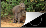 Luxe inductie beschermer Capibara - 78x52 cm - Twee Capibara jongen spelen met elkaar  - inductiebeschermer