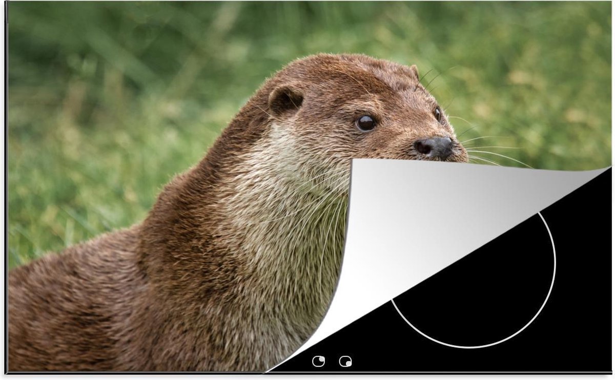 Luxe inductie beschermer Otter - 80x52 cm - Otter in gras  - inductiebeschermer