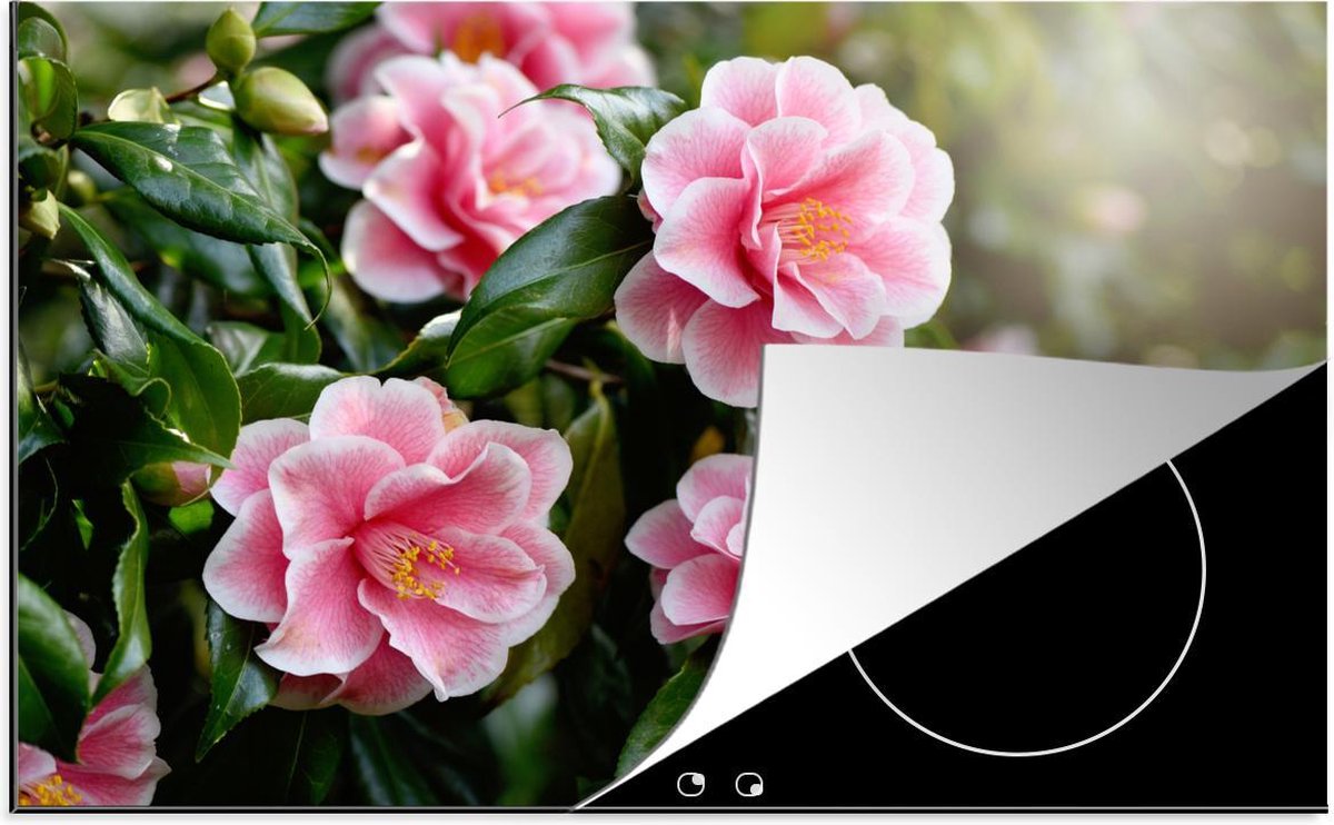 Luxe inductie beschermer Camelia - 78x52 cm - camelia in volle bloei  - inductiebeschermer