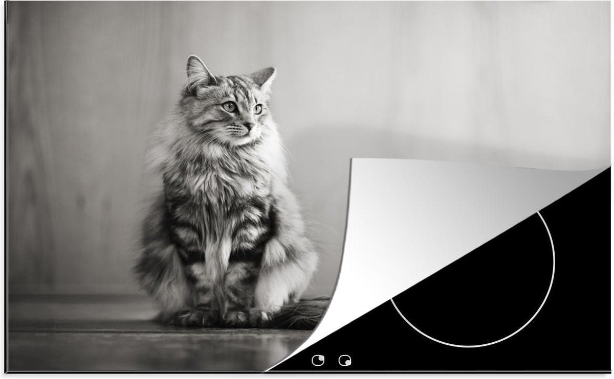 Luxe inductie beschermer Katten in zwart wit - 78x52 cm -  kat  - inductiebeschermer