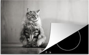 Luxe inductie beschermer Katten in zwart wit - 78x52 cm -  kat  - inductiebeschermer