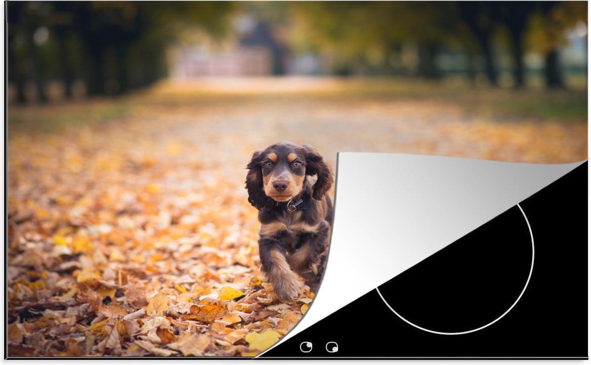 Luxe inductie beschermer Engelse Cocker Spaniel - 78x52 cm - Engelse cockerspaniël die bladeren in Herfst bekijkt  - inductiebeschermer