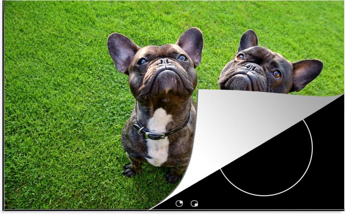 Luxe inductie beschermer Franse bulldog - 78x52 cm - Twee Franse buldogs op groene gras  - inductiebeschermer