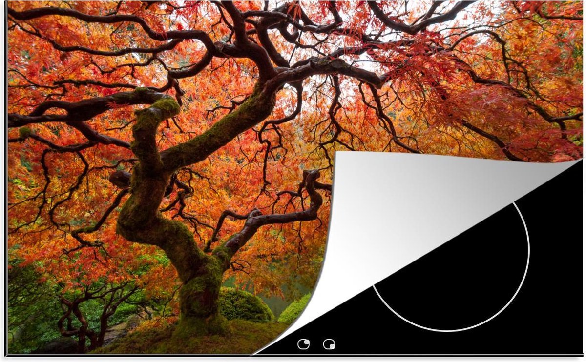 Luxe inductie beschermer Esdoorn - 78x52 cm - Afbeelding van Japanse esdoorn  - inductiebeschermer