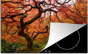 Luxe inductie beschermer Esdoorn - 78x52 cm - Afbeelding van Japanse esdoorn  - inductiebeschermer