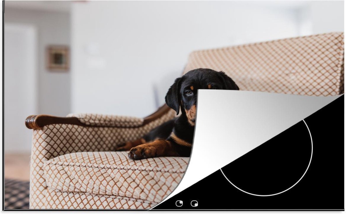 Luxe inductie beschermer Rottweiler - 78x52 cm - Schattige Rottweiler puppy zit op stoel  - inductiebeschermer