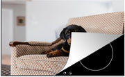 Luxe inductie beschermer Rottweiler - 78x52 cm - Schattige Rottweiler puppy zit op stoel  - inductiebeschermer