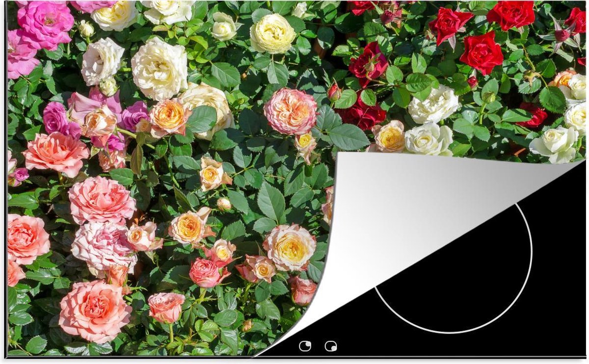 Luxe inductie beschermer Gekleurde rozen - 80x52 cm - Bovenaanzicht gekleurde rozen  - inductiebeschermer