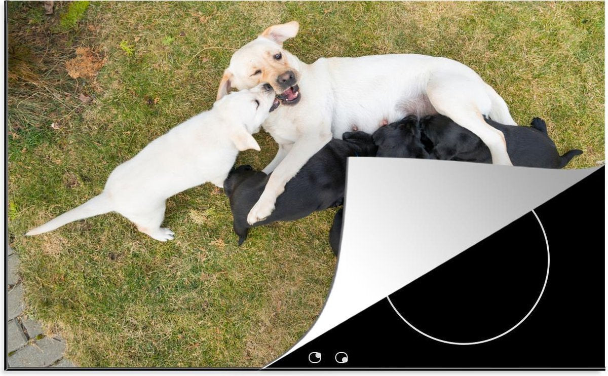 Luxe inductie beschermer Hond met pup - 78x52 cm - Hond met veel pups  - inductiebeschermer