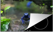 Luxe inductie beschermer Junglebewoners - 80x52 cm - Blauwe kikker in jungle  - inductiebeschermer