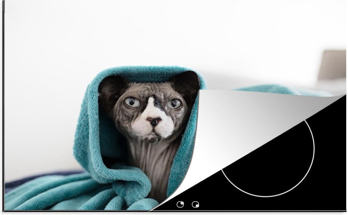 Luxe inductie beschermer Sphynx - 78x52 cm - Sphynx kat onder blauwe deken  - inductiebeschermer