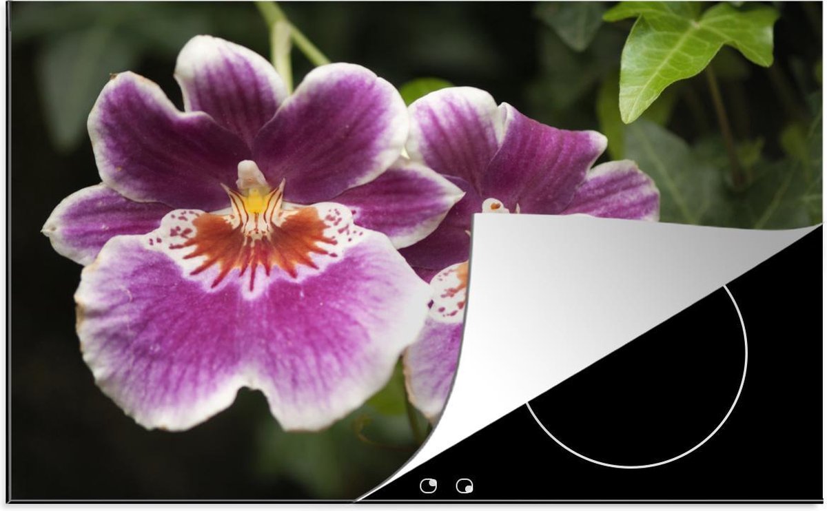 Luxe inductie beschermer Orchidee - 80x52 cm - Wilde orchidee  - inductiebeschermer