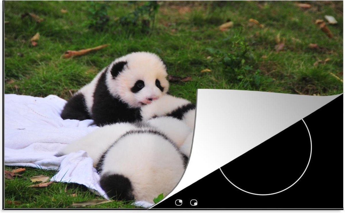Luxe inductie beschermer Jonge panda's - 78x52 cm - Pasgeboren panda's liggen bij elkaar  - inductiebeschermer