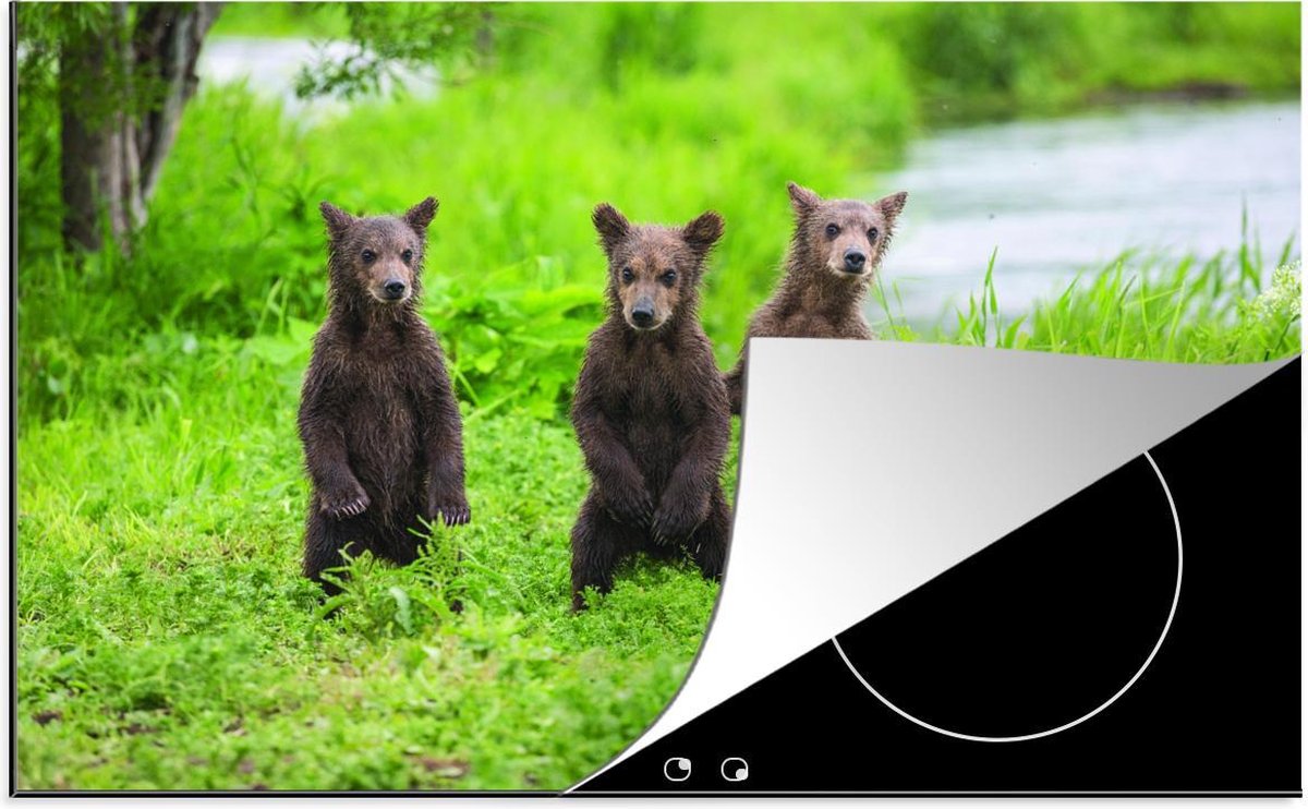 Luxe inductie beschermer Dierenfamilies - 80x52 cm - Jonge bruine beren in natuur  - inductiebeschermer