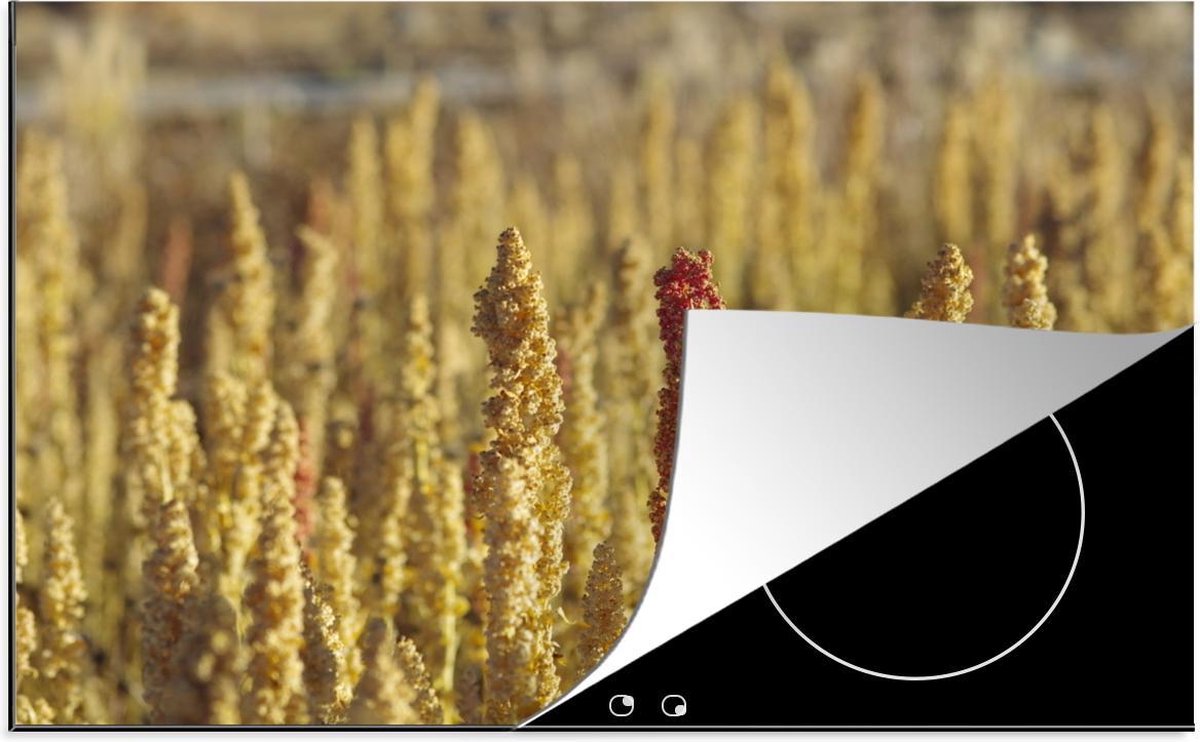Luxe inductie beschermer Quinoa plant - 78x52 cm - Gele kleuren van quinoa planten  - inductiebeschermer