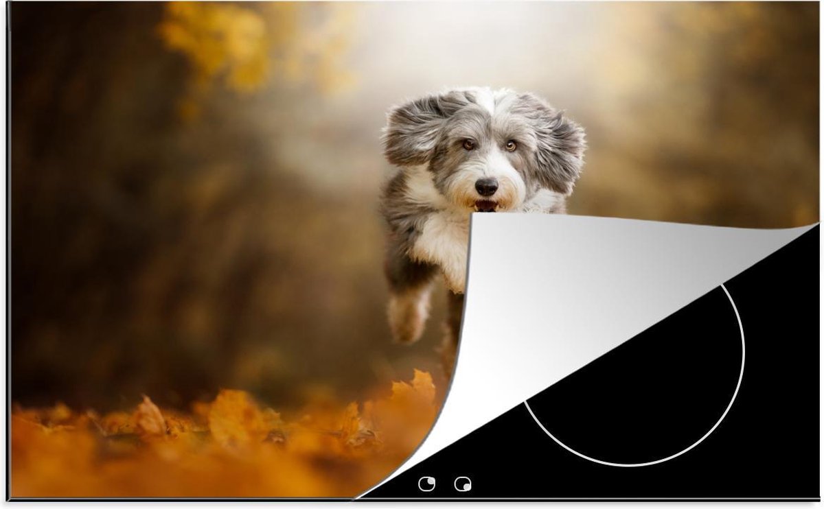Luxe inductie beschermer Herfst Dieren - 78x52 cm - Vliegende hond tussen herfstbladeren  - inductiebeschermer