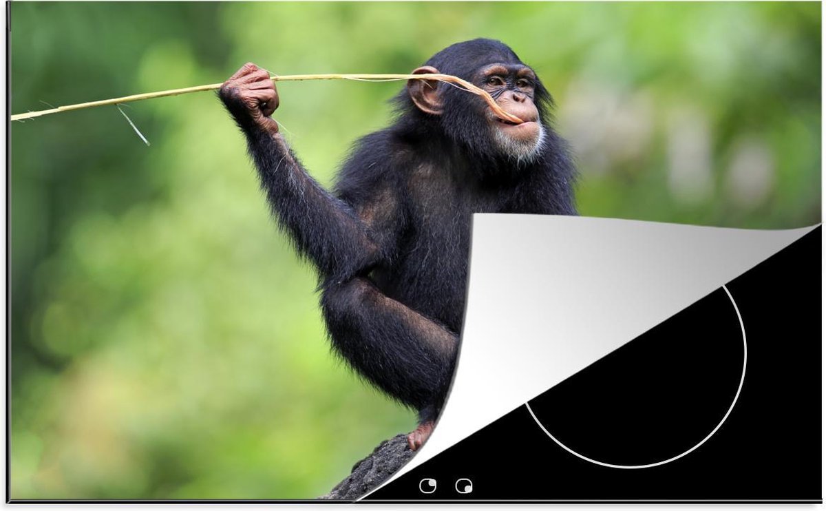 Luxe inductie beschermer Chimpanzee - 80x52 cm - Chimpansee met tak in mond  - inductiebeschermer
