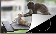 Luxe inductie beschermer Katten  - 78x52 cm - Aap die kat aan oren trekt  - inductiebeschermer