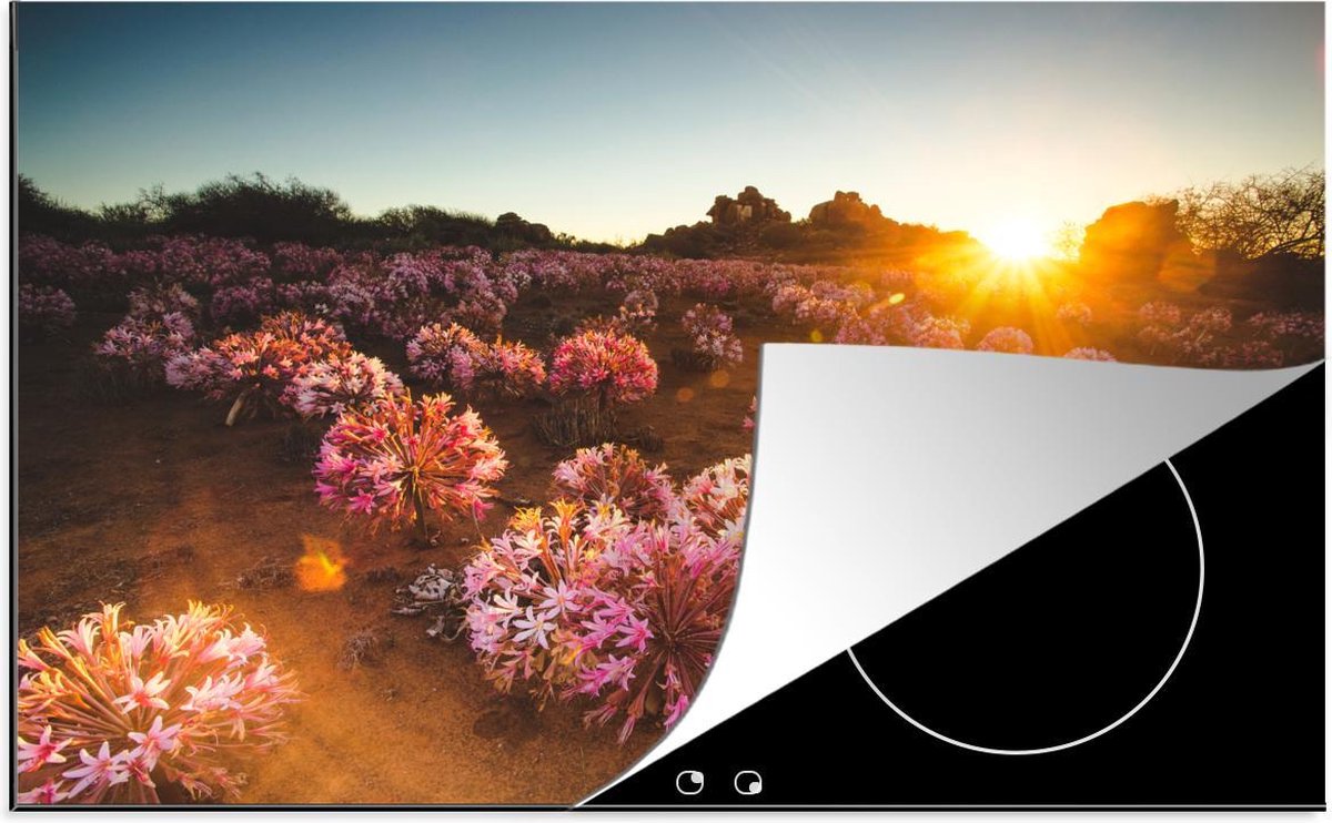 Luxe inductie beschermer Brunsvigia bosmaniae - 78x52 cm - Veld roze bloemen bij zonsondergang  - inductiebeschermer