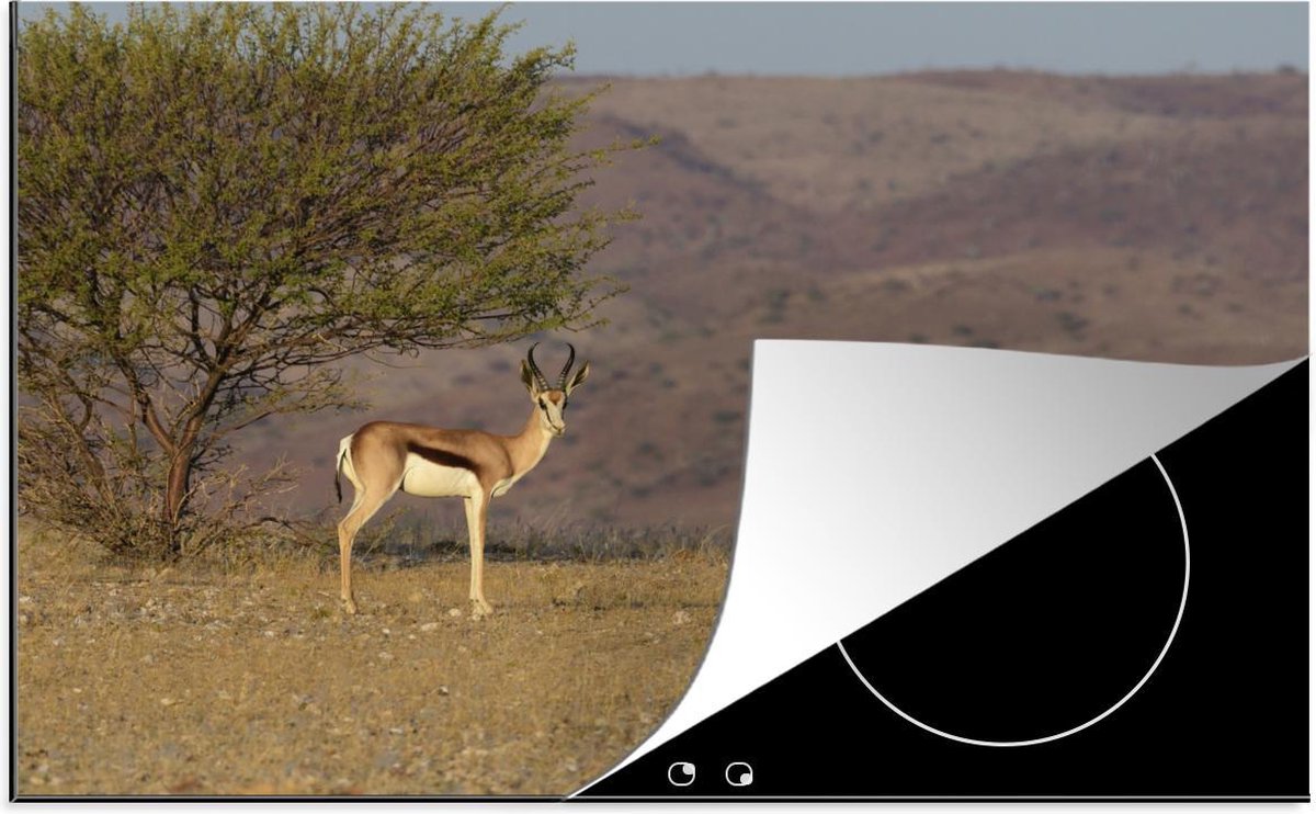 Luxe inductie beschermer Gazelle - 78x52 cm - Twee uitkijkende Gazelle's op Afrikaanse vlaktes  - inductiebeschermer