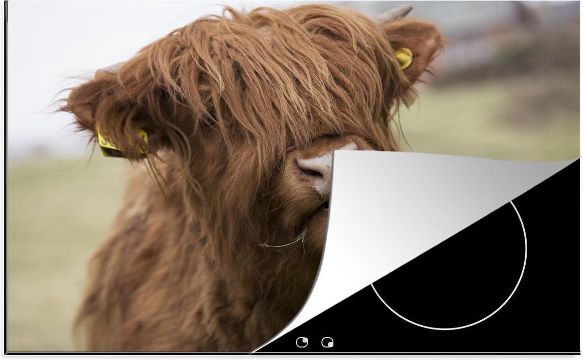 Luxe inductie beschermer Schotse Hooglanders  - 80x52 cm - Schotse hooglander likt zijn lippen  - inductiebeschermer