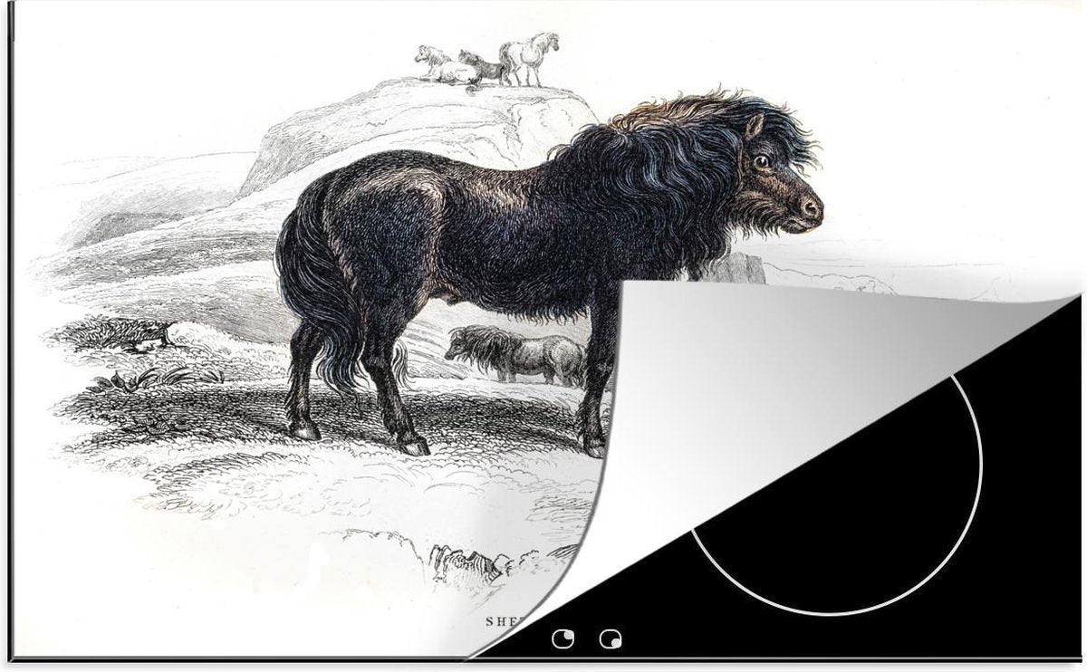 Luxe inductie beschermer Pony illustratie - 78x52 cm - illustratie van zwarte shetlander  - inductiebeschermer