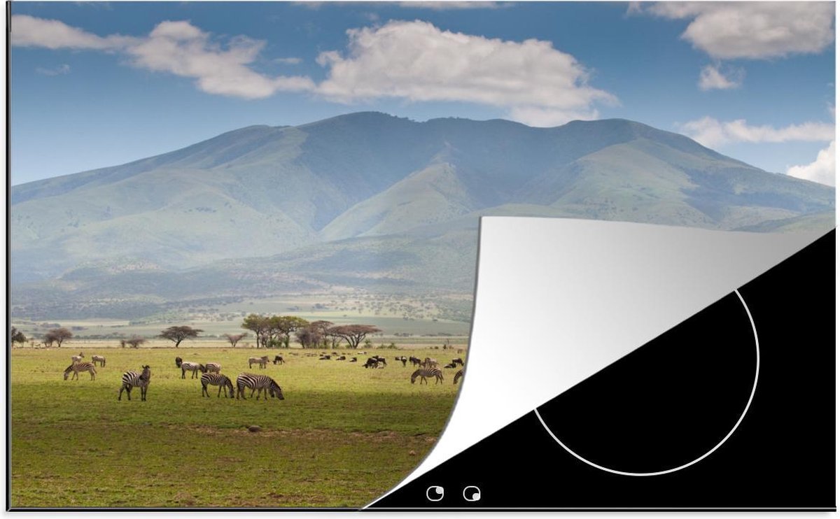 Luxe inductie beschermer Nationaal park Serengeti - 80x52 cm - Wilde dieren grazen op savanne van Nationaal park Serengeti  - inductiebeschermer