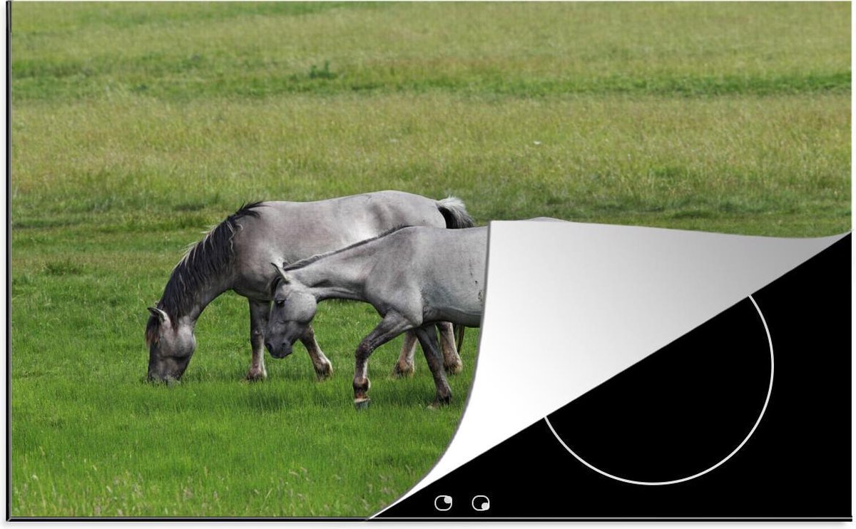 Luxe inductie beschermer Paarden - 80x52 cm - Konikpaarden  - inductiebeschermer