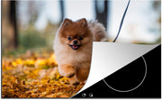 Luxe inductie beschermer Pomeranian - 78x52 cm - Pomeriaan in bladeren  - inductiebeschermer