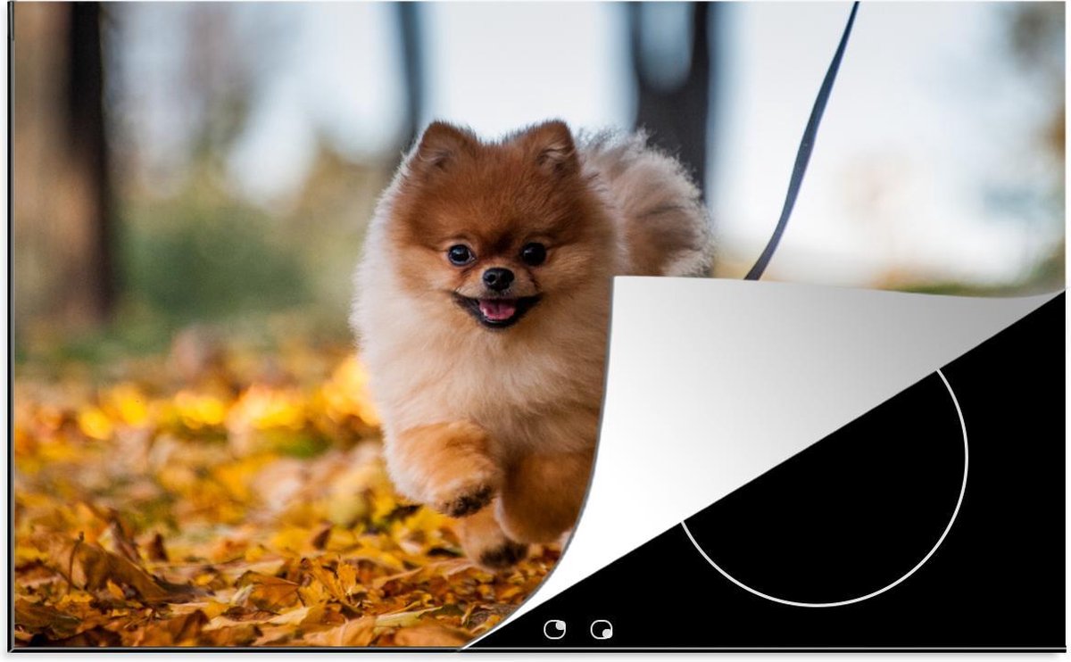 Luxe inductie beschermer Pomeranian - 78x52 cm - Pomeriaan in bladeren  - inductiebeschermer