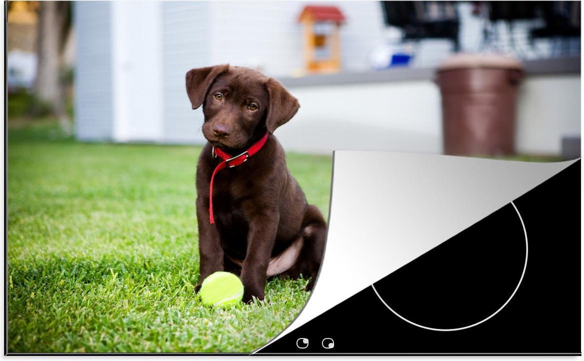 Luxe inductie beschermer Labrador Retriever - 78x52 cm - Labrador Retriever puppy met tennisbal  - inductiebeschermer