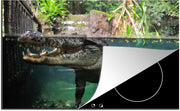 Luxe inductie beschermer Krokodillen - 80x52 cm - Krokodil onder water  - inductiebeschermer