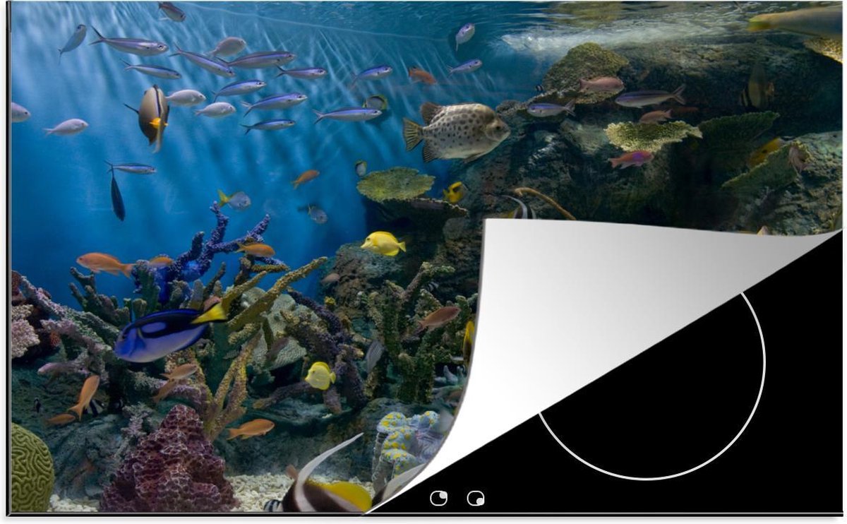 Luxe inductie beschermer Onderwaterwereld - 78x52 cm - Levendige onderwaterwereld  - inductiebeschermer
