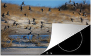 Luxe inductie beschermer Bonte strandloper - 78x52 cm - Bonte strandlopers rondom bosuil  - inductiebeschermer