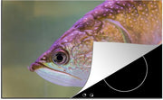 Luxe inductie beschermer Forel - 80x52 cm - Forel met glimmende kleuren  - inductiebeschermer