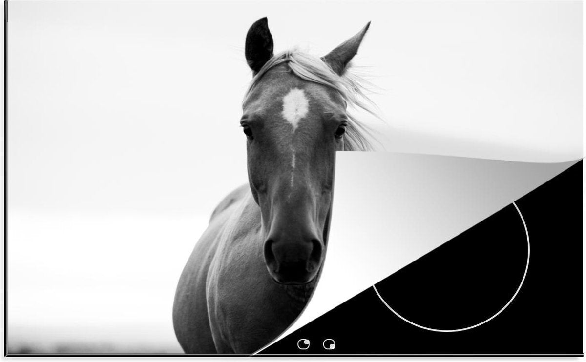 Luxe inductie beschermer Paarden  - 70x52 cm -  paard in zwart-wit  - inductiebeschermer