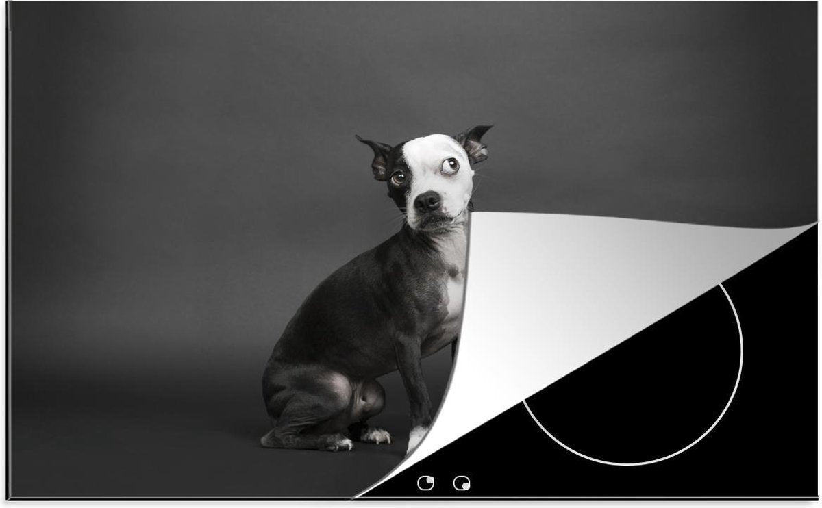 Luxe inductie beschermer Dieren op zwarte achtergrond - 80x52 cm - Zwart gekleurde hond op zwarte achtergrond  - inductiebeschermer