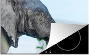 Luxe inductie beschermer Olifanten - 78x52 cm - Close-up van Afrikaanse olifant  - inductiebeschermer