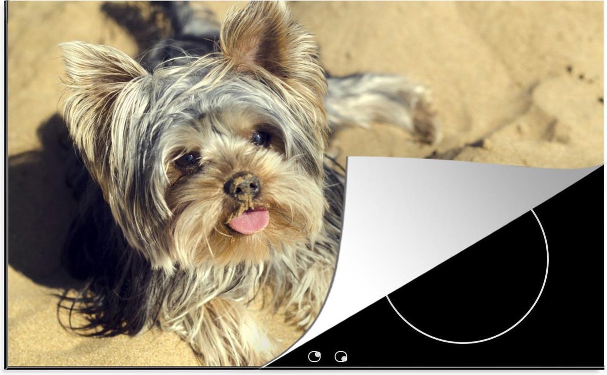 Luxe inductie beschermer Yorkshire Terrier - 80x52 cm - Yorkshire Terrier op strand  - inductiebeschermer