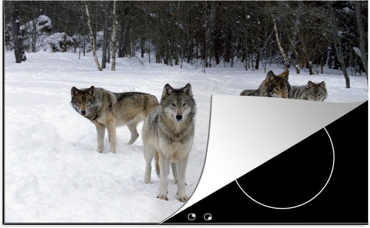 Luxe inductie beschermer Wolven - 78x52 cm - Roedel wolven in Canada  - inductiebeschermer