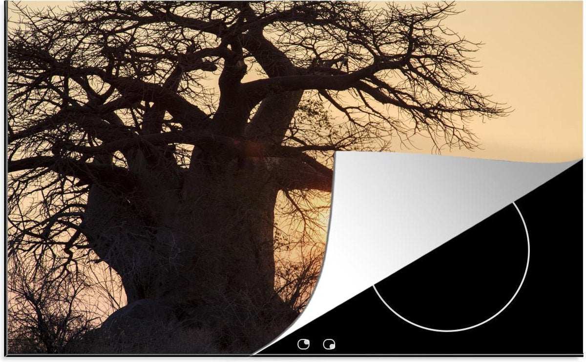 Luxe inductie beschermer Nationaal park Makgadikgadi Pans - 78x52 cm - Grote baobabboom bij zonsondergang in Nationaal park Makgadikgadi Pans  - inductiebeschermer