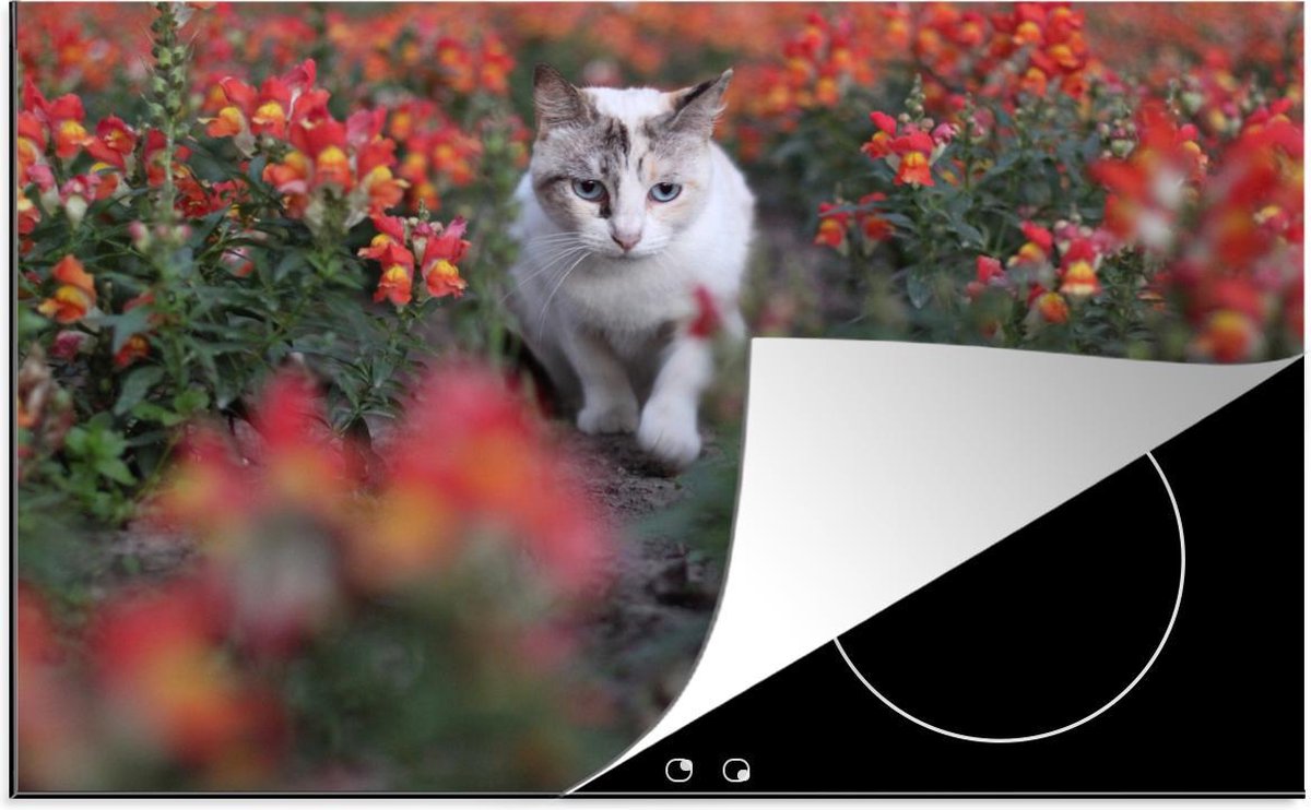 Luxe inductie beschermer Vrije Katten - 78x52 cm - Kat tussen bloemen  - inductiebeschermer